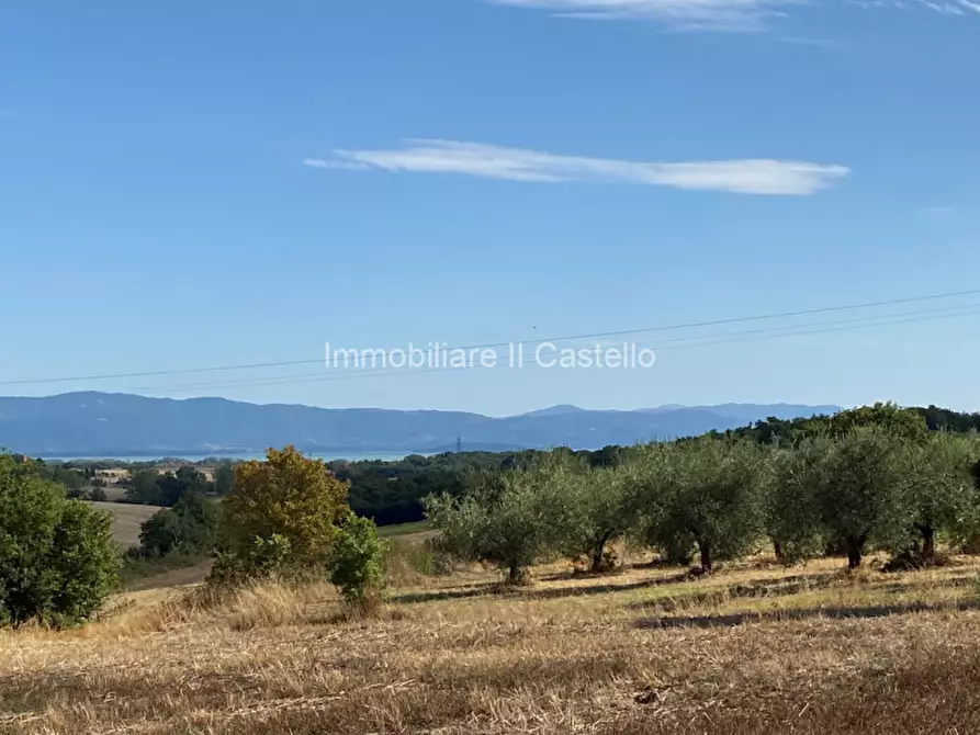 Immagine 10 di Rustico / casale in vendita  a Castiglione Del Lago