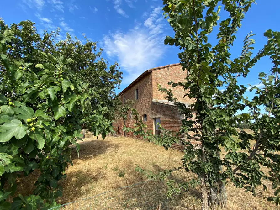 Immagine 12 di Rustico / casale in vendita  in casamaggiore a Castiglione Del Lago