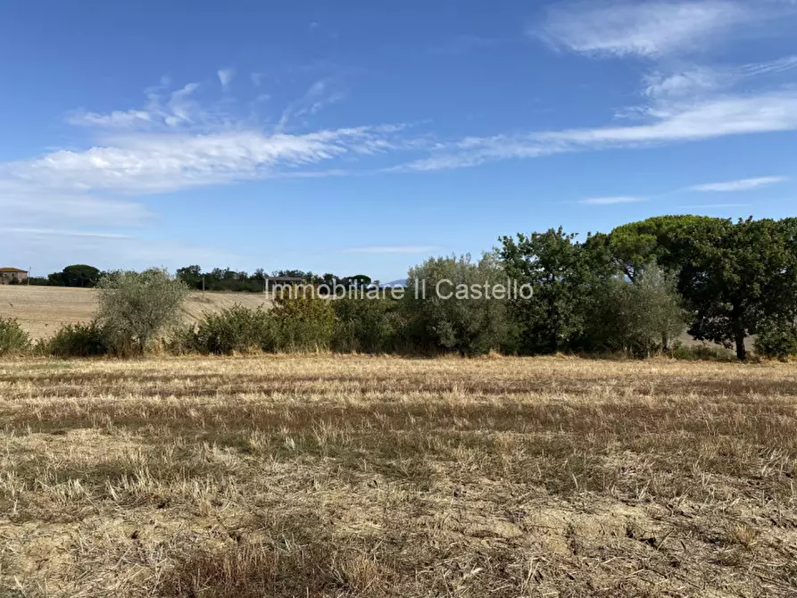 Immagine 13 di Rustico / casale in vendita  in casamaggiore a Castiglione Del Lago