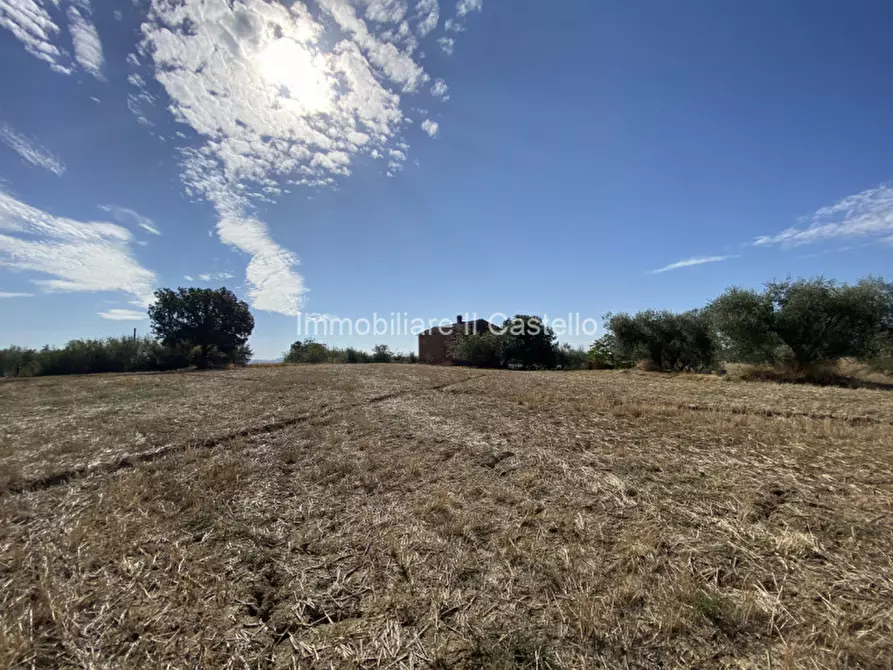 Immagine 14 di Rustico / casale in vendita  in casamaggiore a Castiglione Del Lago