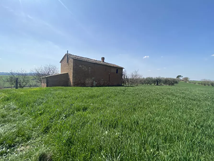 Immagine 17 di Rustico / casale in vendita  in casamaggiore a Castiglione Del Lago