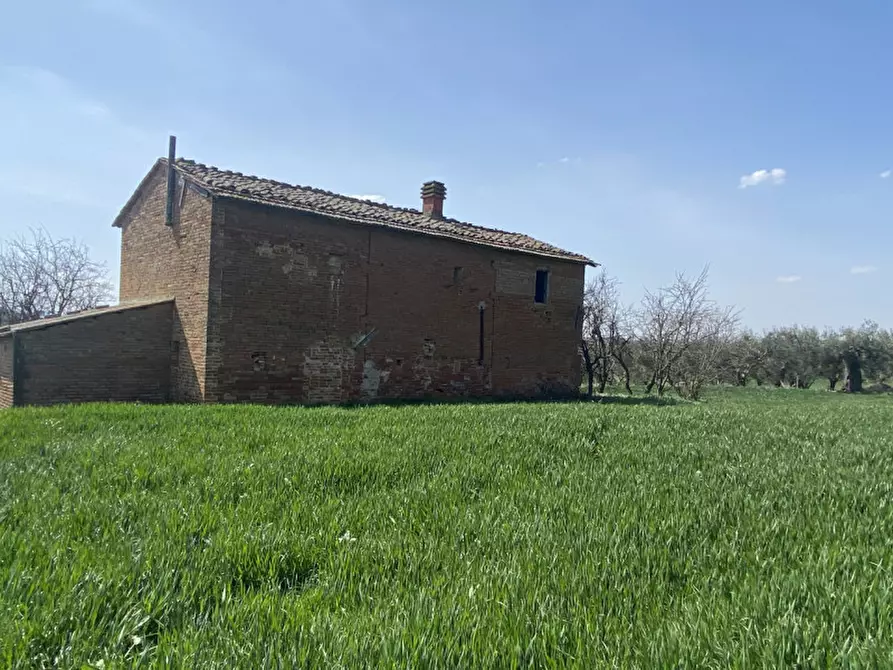 Immagine 18 di Rustico / casale in vendita  in casamaggiore a Castiglione Del Lago