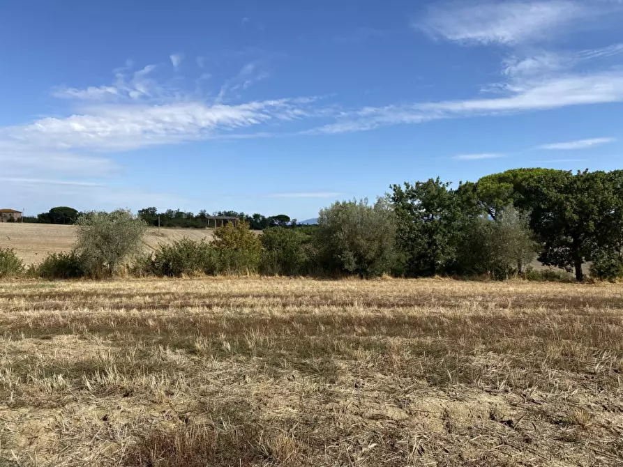 Immagine 23 di Rustico / casale in vendita  in casamaggiore a Castiglione Del Lago