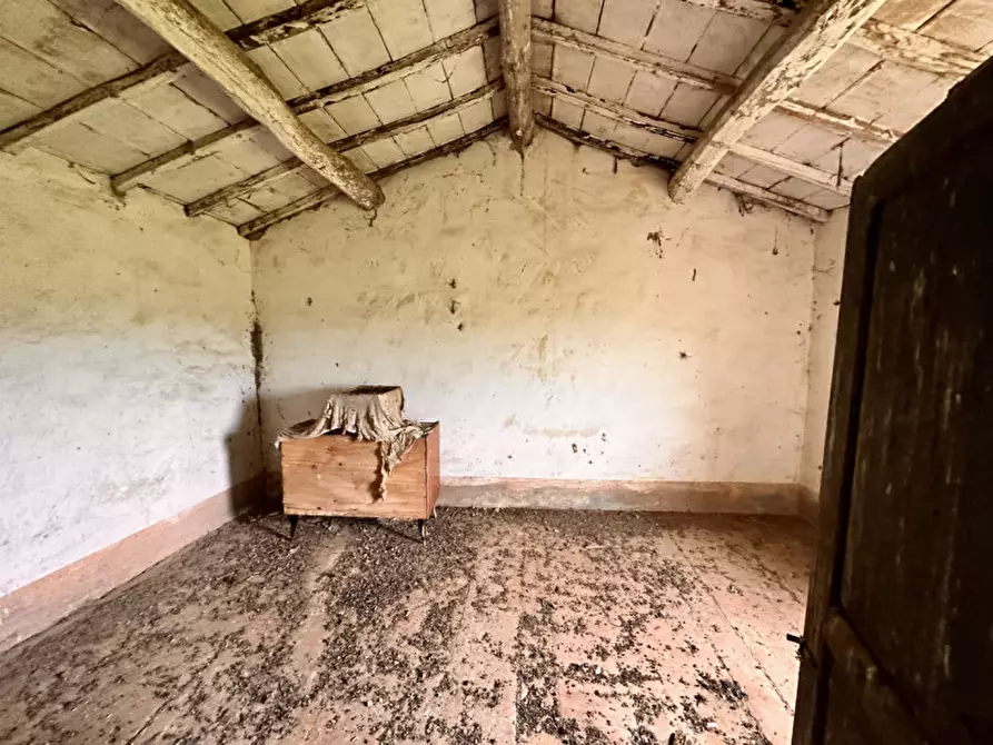 Immagine 29 di Rustico / casale in vendita  in casamaggiore a Castiglione Del Lago