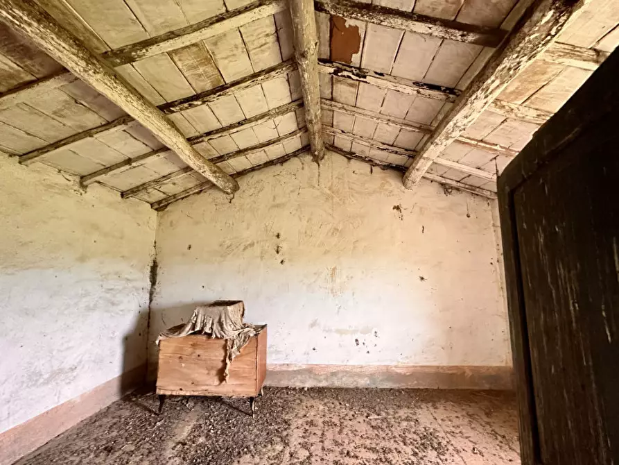 Immagine 30 di Rustico / casale in vendita  in casamaggiore a Castiglione Del Lago