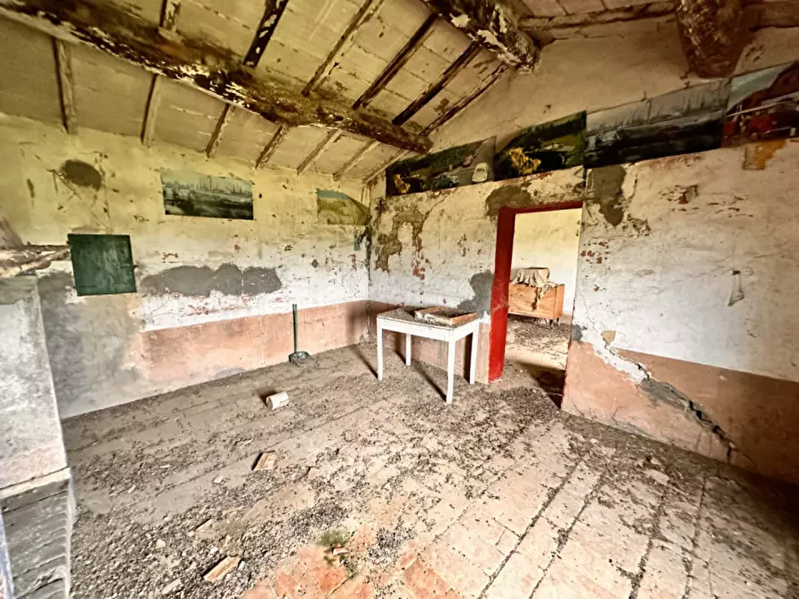 Immagine 34 di Rustico / casale in vendita  in casamaggiore a Castiglione Del Lago