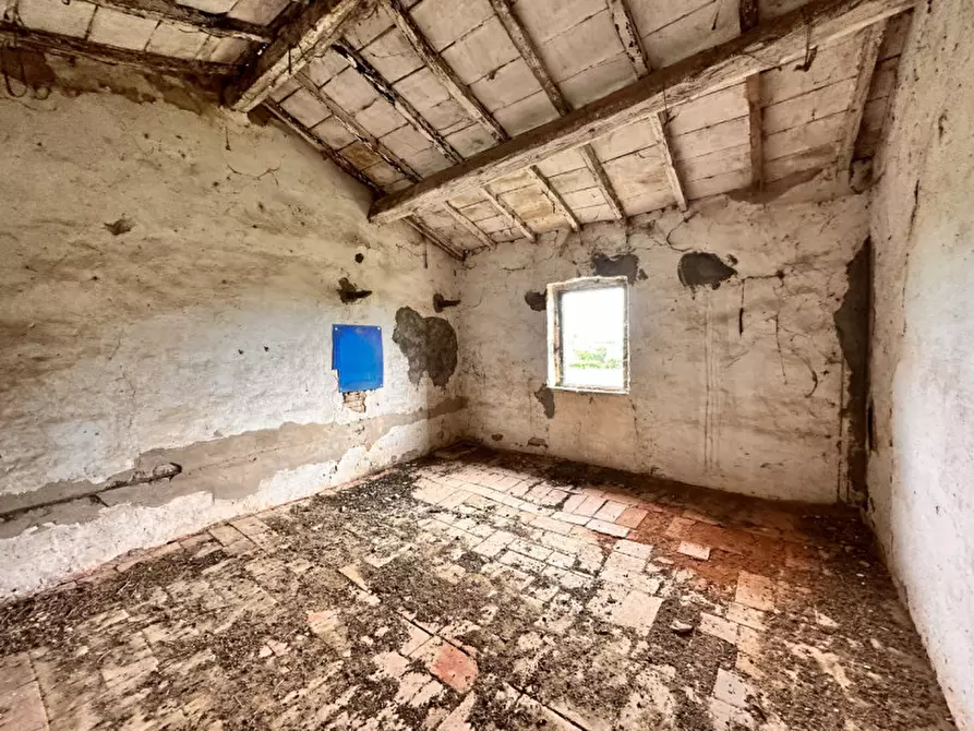Immagine 35 di Rustico / casale in vendita  in casamaggiore a Castiglione Del Lago