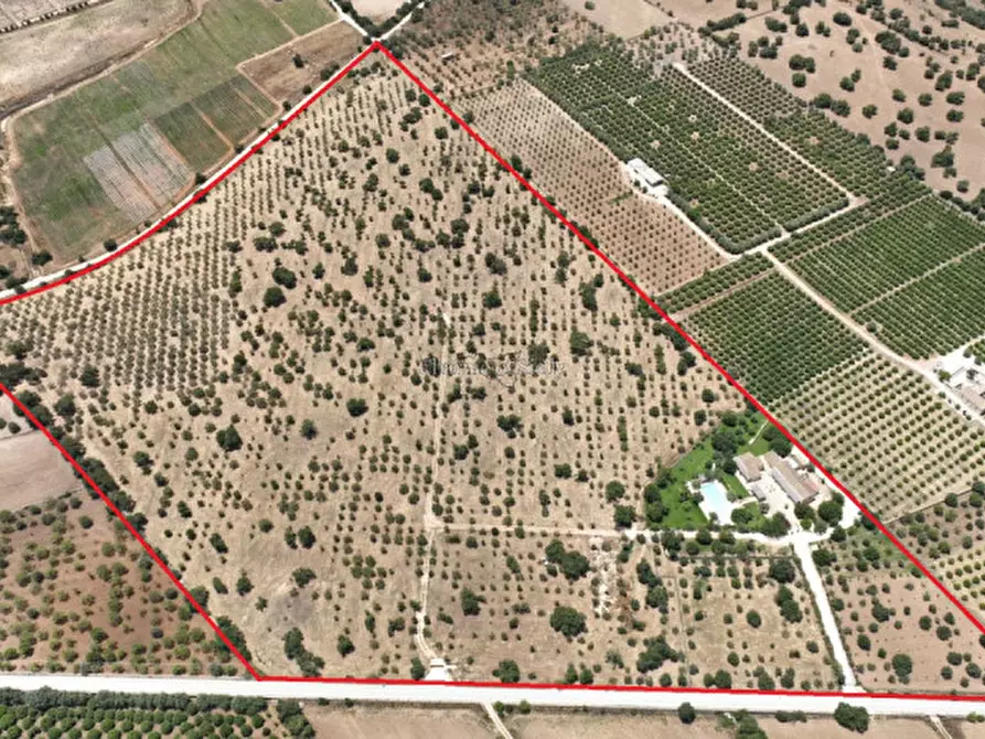 Immagine 43 di Villa in vendita  in Strada Provinciale Favarotta Ritillini a Noto