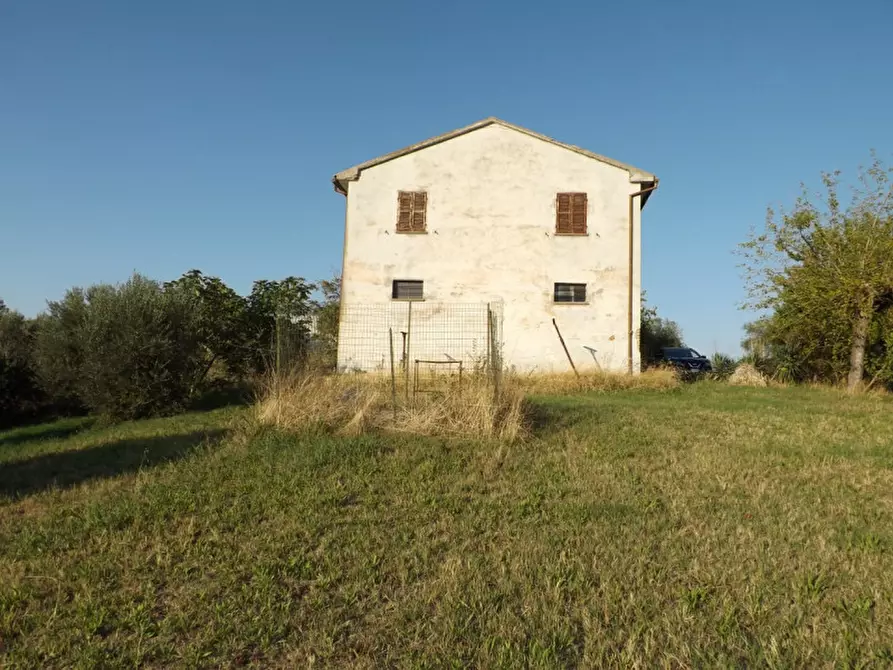 Immagine 3 di Rustico / casale in vendita  a Corinaldo