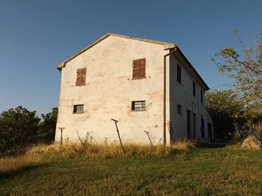 Immagine 4 di Rustico / casale in vendita  a Corinaldo