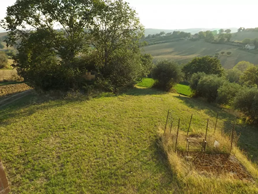 Immagine 6 di Rustico / casale in vendita  a Corinaldo