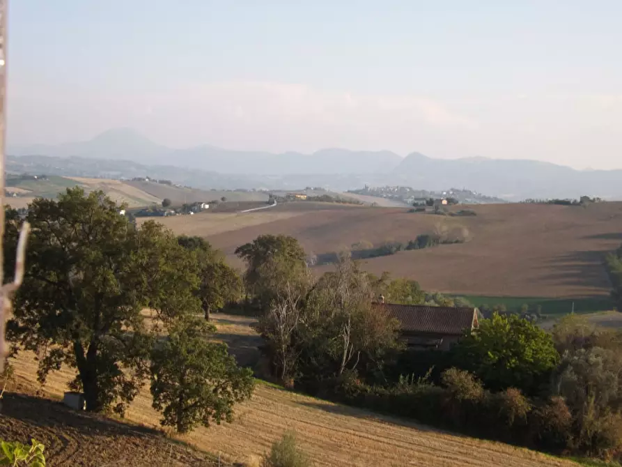 Immagine 19 di Rustico / casale in vendita  a Corinaldo