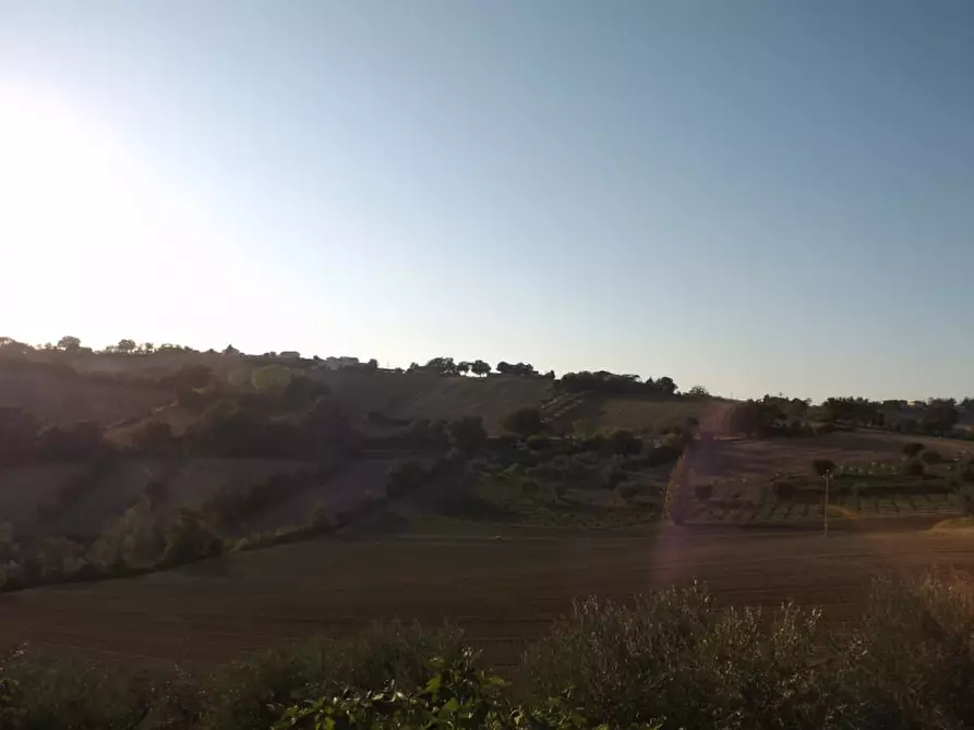 Immagine 20 di Rustico / casale in vendita  a Corinaldo