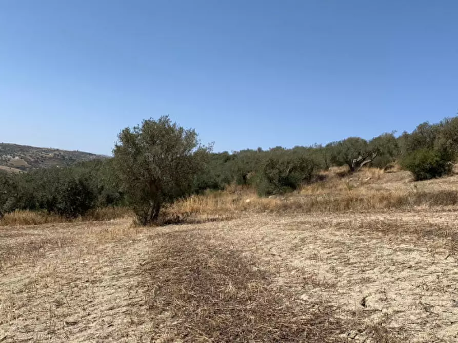 Immagine 25 di Villa in vendita  in Strada Provinciale Palazzolo Giarratana a Palazzolo Acreide