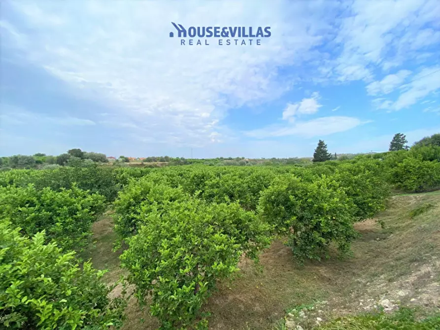 Immagine 1 di Rustico / casale in vendita  in CONTRADA PALMA a Avola