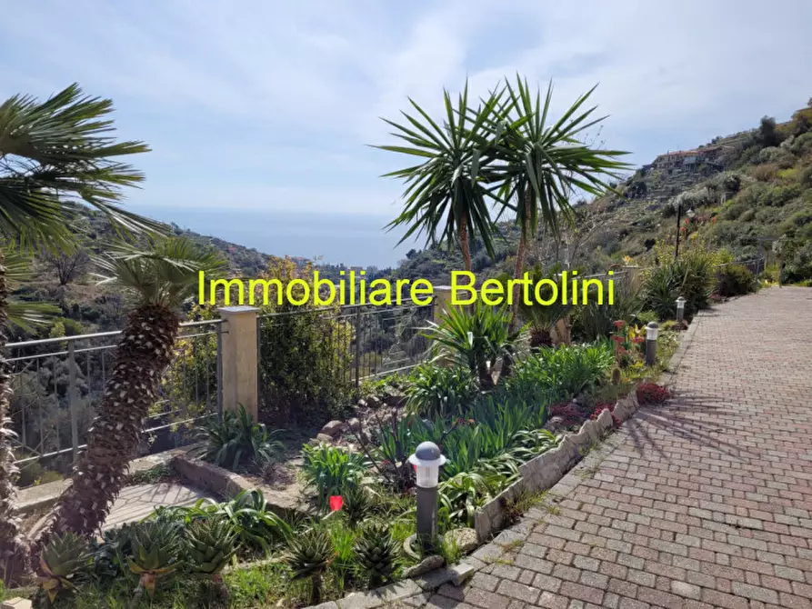 Immagine 4 di Villa in vendita  in via degli inglesi a Bordighera