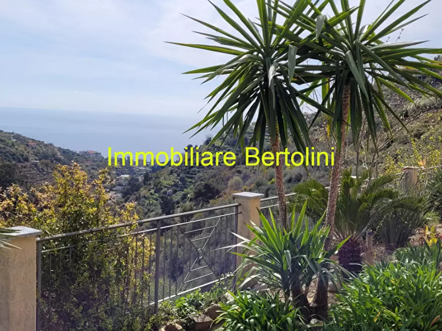 Immagine 5 di Villa in vendita  in via degli inglesi a Bordighera