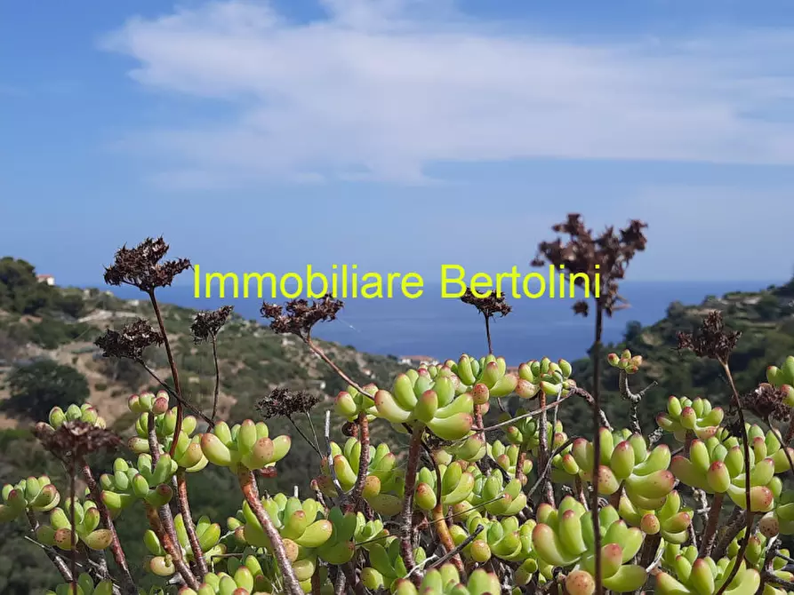 Immagine 6 di Villa in vendita  in via degli inglesi a Bordighera