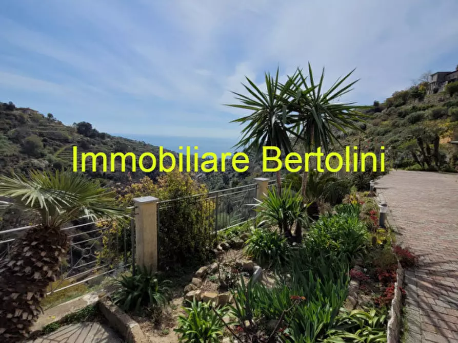 Immagine 27 di Villa in vendita  in via degli inglesi a Bordighera