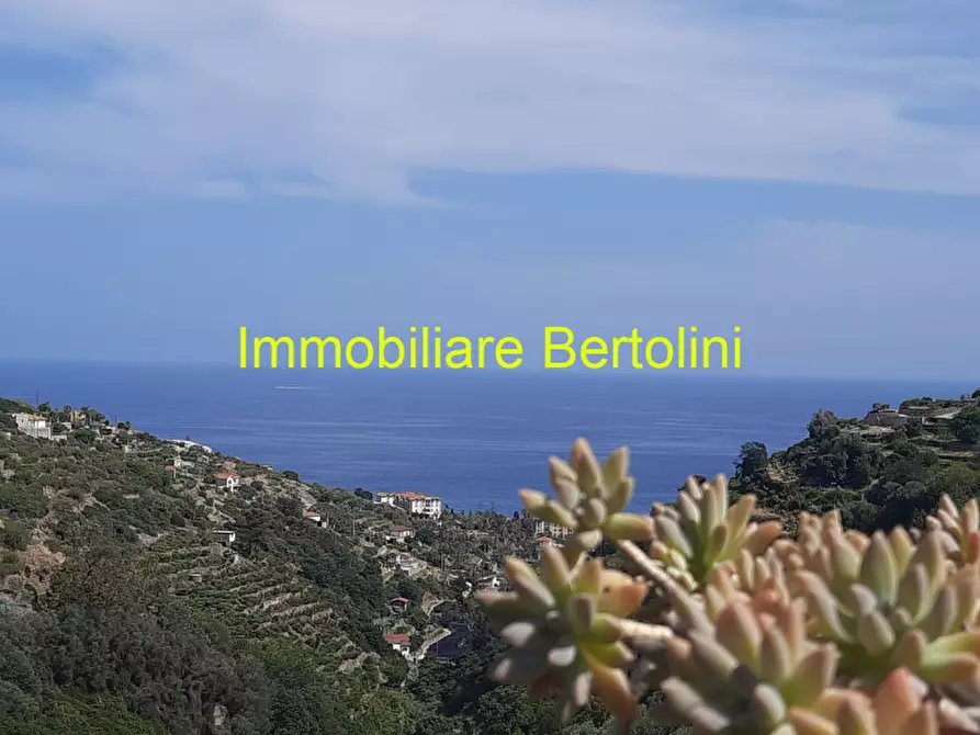 Immagine 31 di Villa in vendita  in via degli inglesi a Bordighera