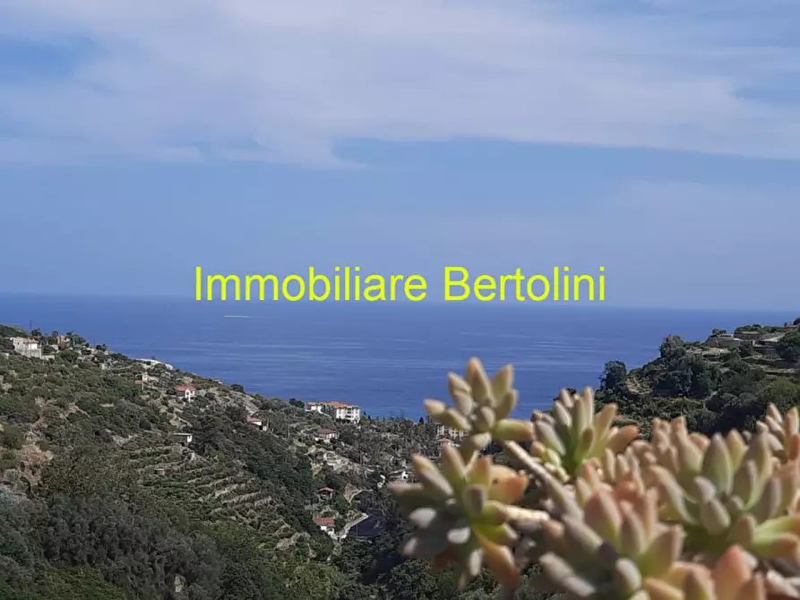 Immagine 40 di Villa in vendita  in via degli inglesi a Bordighera