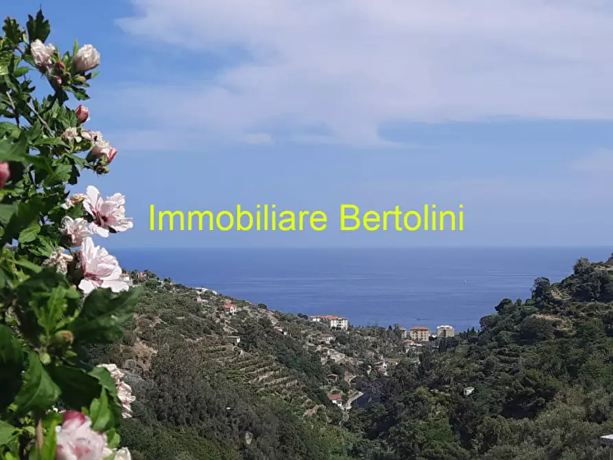 Immagine 53 di Villa in vendita  in via degli inglesi a Bordighera