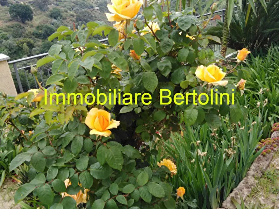 Immagine 59 di Villa in vendita  in via degli inglesi a Bordighera