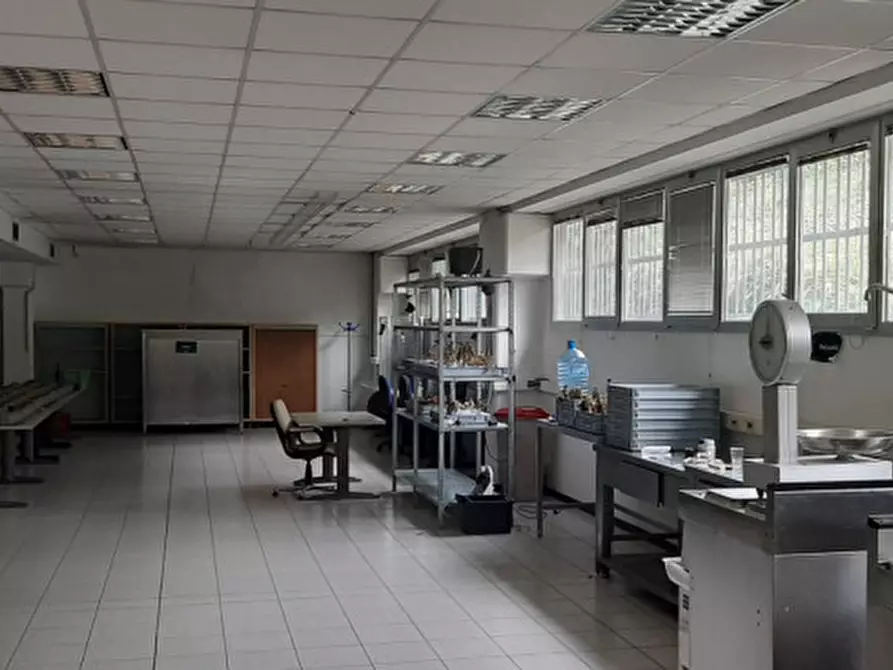 Immagine 22 di Ufficio in affitto  in VIA BURONA a Vimodrone