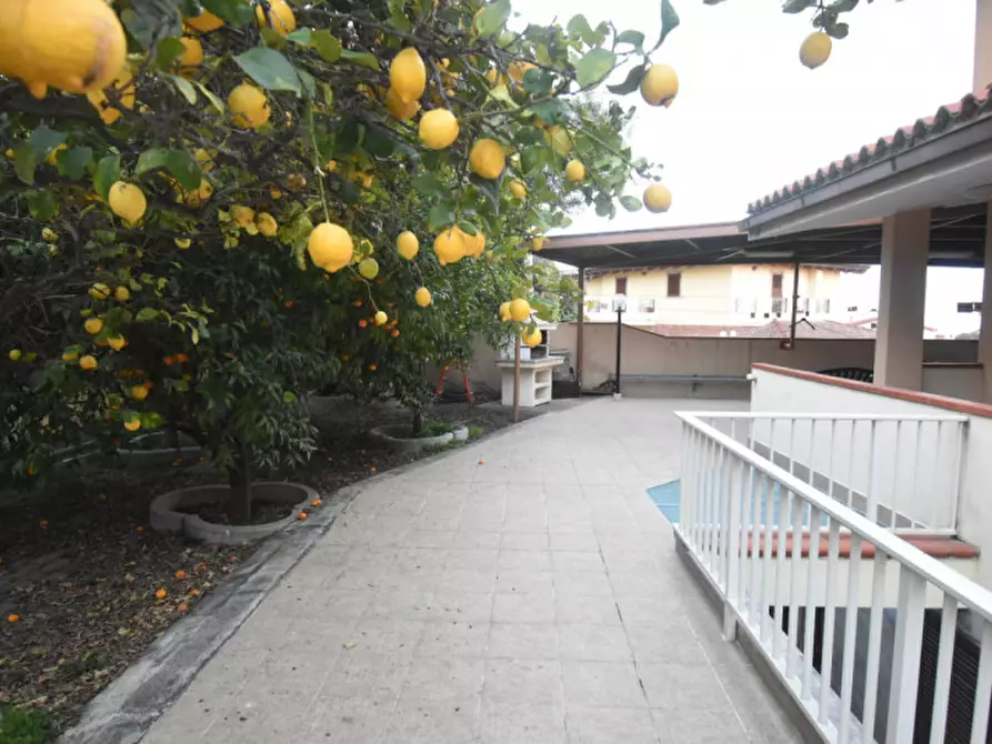 Immagine 19 di Villa in vendita  a Quartu Sant'elena