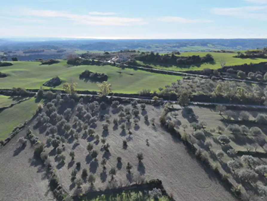 Immagine 7 di Villa in vendita  in Contrada San Giacomo a Ragusa