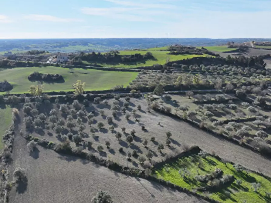 Immagine 10 di Villa in vendita  in Contrada San Giacomo a Ragusa
