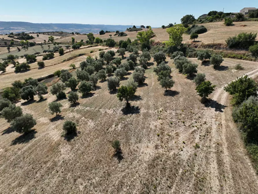 Immagine 11 di Villa in vendita  in Contrada San Giacomo a Ragusa
