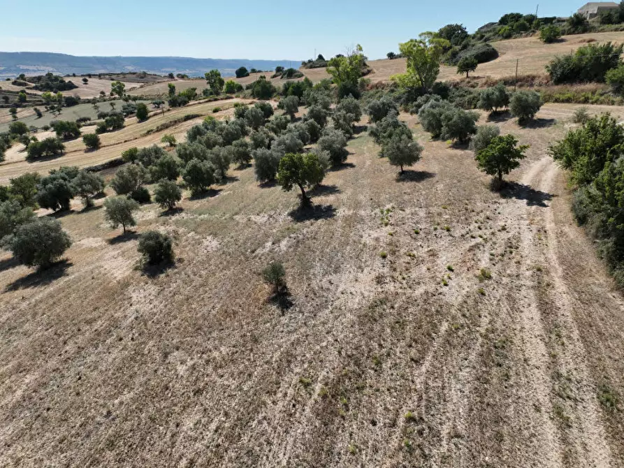 Immagine 12 di Villa in vendita  in Contrada San Giacomo a Ragusa
