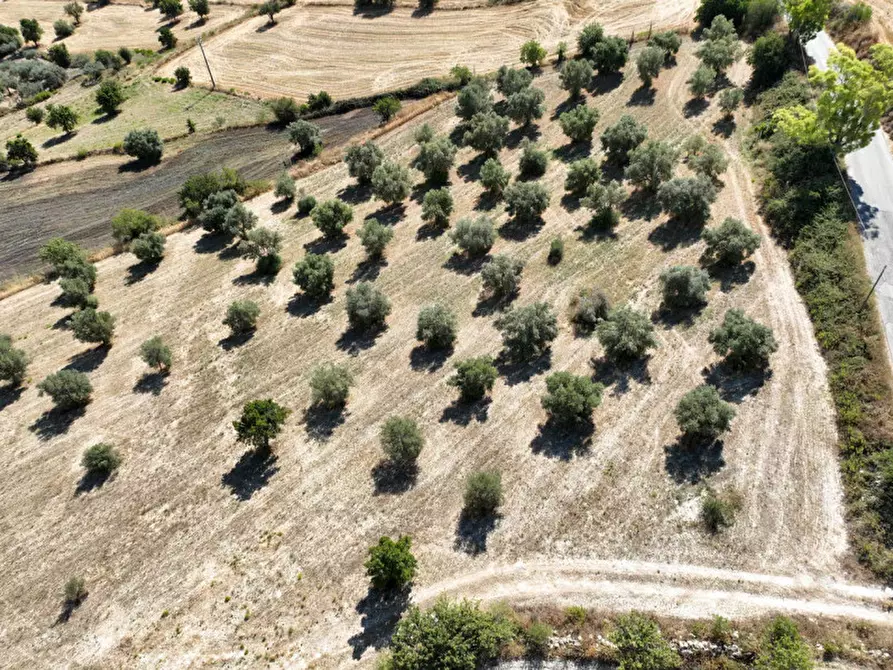Immagine 13 di Villa in vendita  in Contrada San Giacomo a Ragusa