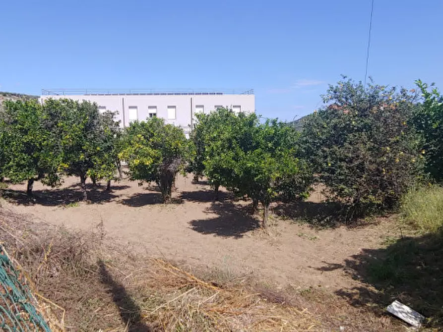 Immagine 3 di Terreno in vendita  in piazza carmine a Gualtieri Sicaminò
