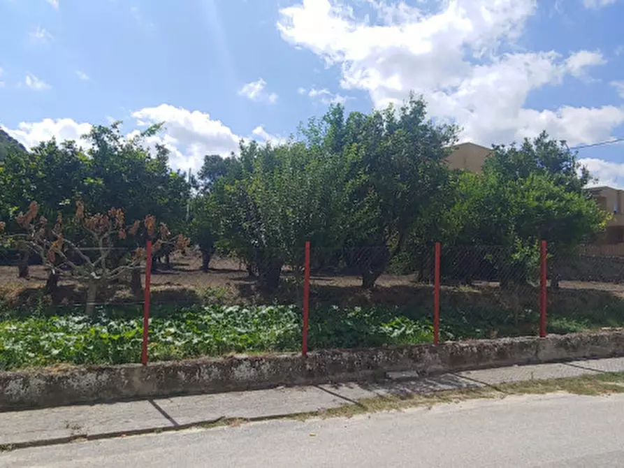 Immagine 4 di Terreno in vendita  in piazza carmine a Gualtieri Sicaminò