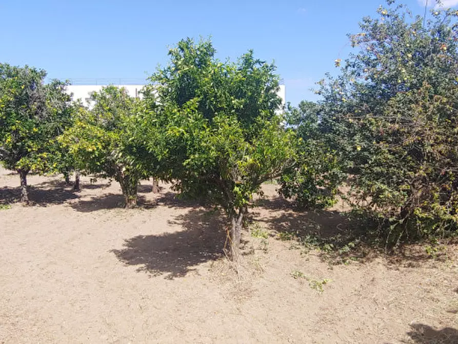 Immagine 6 di Terreno in vendita  in piazza carmine a Gualtieri Sicaminò