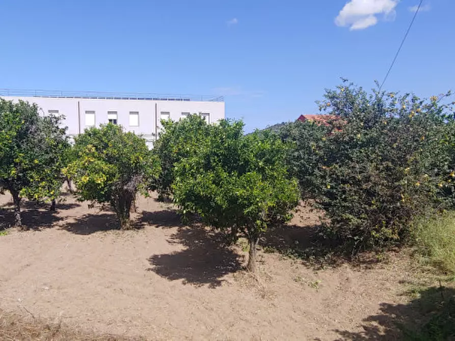 Immagine 7 di Terreno in vendita  in piazza carmine a Gualtieri Sicaminò