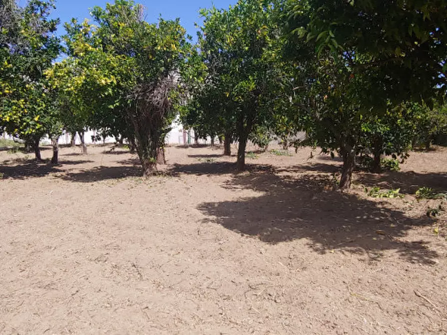 Immagine 8 di Terreno in vendita  in piazza carmine a Gualtieri Sicaminò