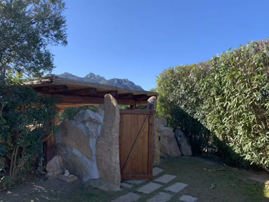 Immagine 25 di Villa in vendita  in via dei velieri a Arzachena