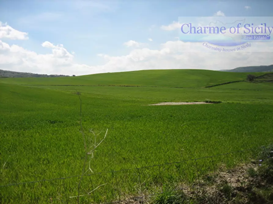Immagine 16 di Casa indipendente in vendita  in Contrada Serramargi a Ragusa