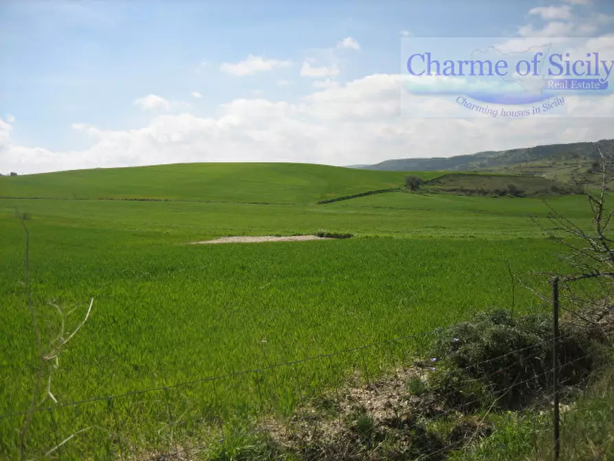 Immagine 40 di Casa indipendente in vendita  in Contrada Serramargi a Ragusa