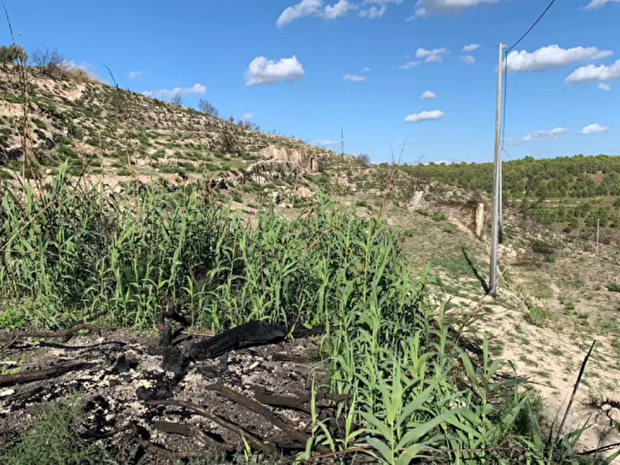 Immagine 41 di Casa indipendente in vendita  in Contrada Serramargi a Ragusa