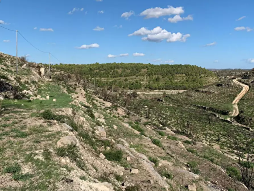 Immagine 48 di Casa indipendente in vendita  in Contrada Serramargi a Ragusa