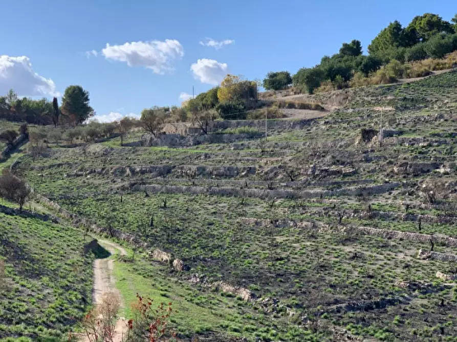 Immagine 49 di Casa indipendente in vendita  in Contrada Serramargi a Ragusa