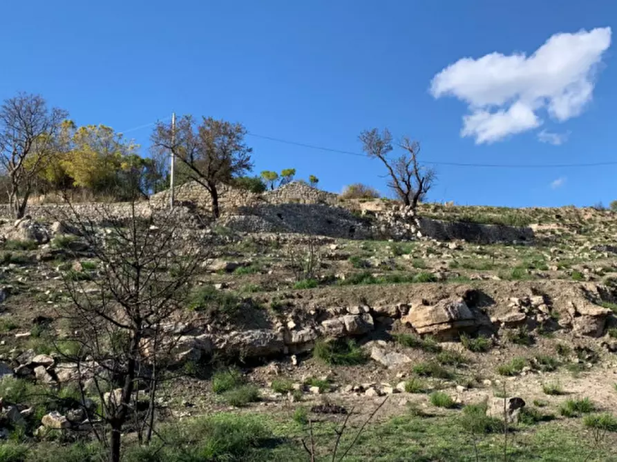 Immagine 50 di Casa indipendente in vendita  in Contrada Serramargi a Ragusa