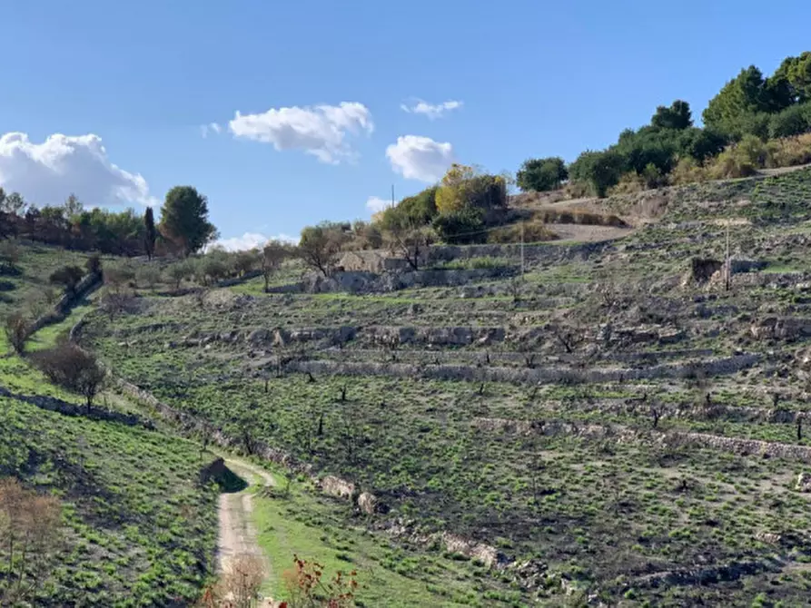 Immagine 55 di Casa indipendente in vendita  in Contrada Serramargi a Ragusa
