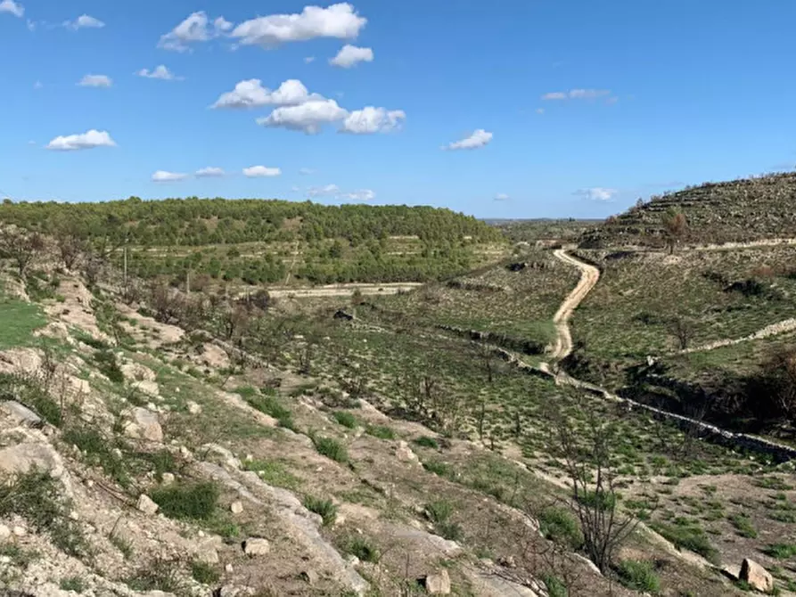 Immagine 56 di Casa indipendente in vendita  in Contrada Serramargi a Ragusa