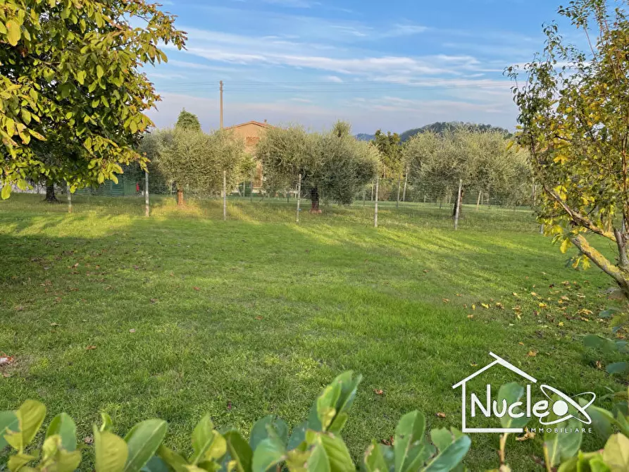 Immagine 1 di Terreno in vendita  a Galzignano Terme