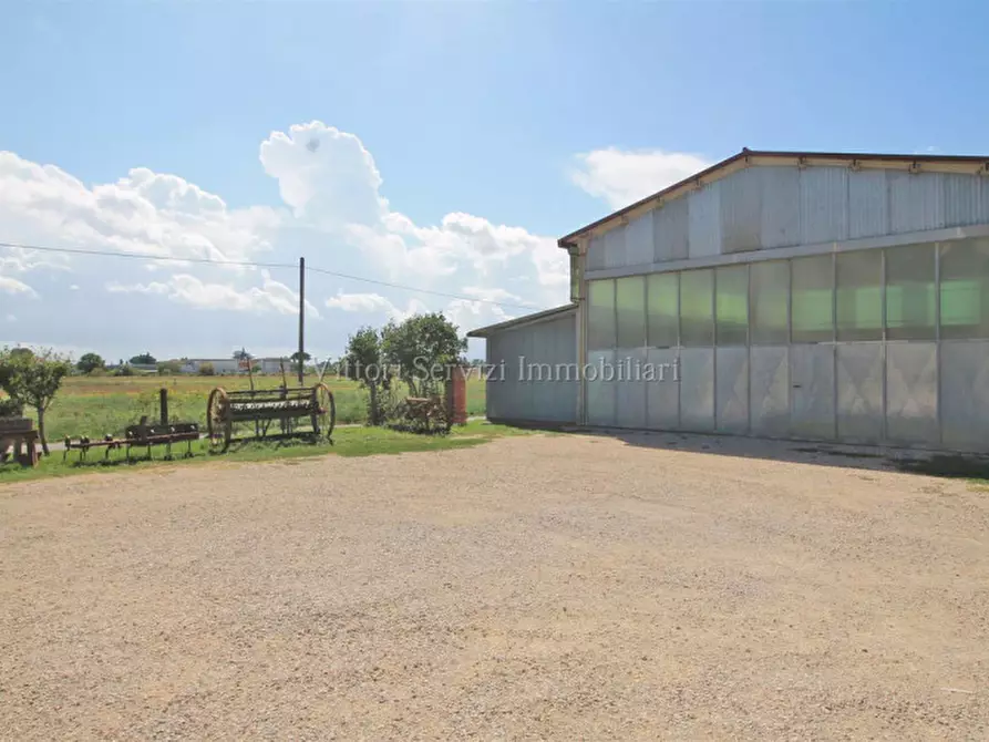 Immagine 23 di Casa bifamiliare in vendita  in via traversa valdichiana est a Torrita Di Siena